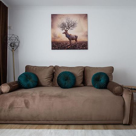 Apartament Victoria Сату Маре Екстериор снимка